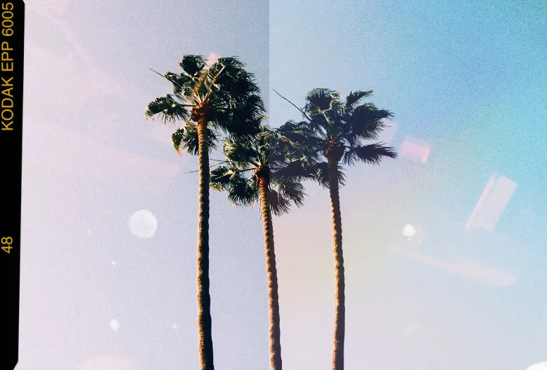 Editing your pictures like a pro