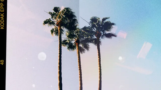 Editing your pictures like a pro