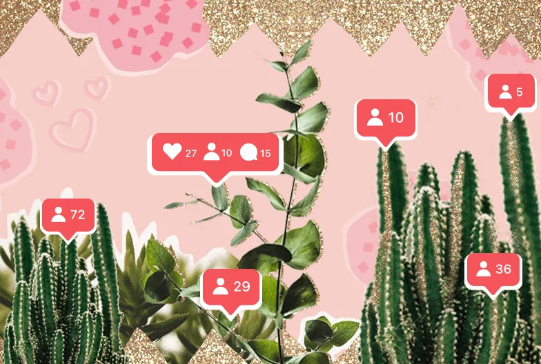 How to Grow Your Instagram Following