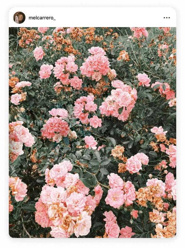 Instagram post by @melcarrero_ fashion trends