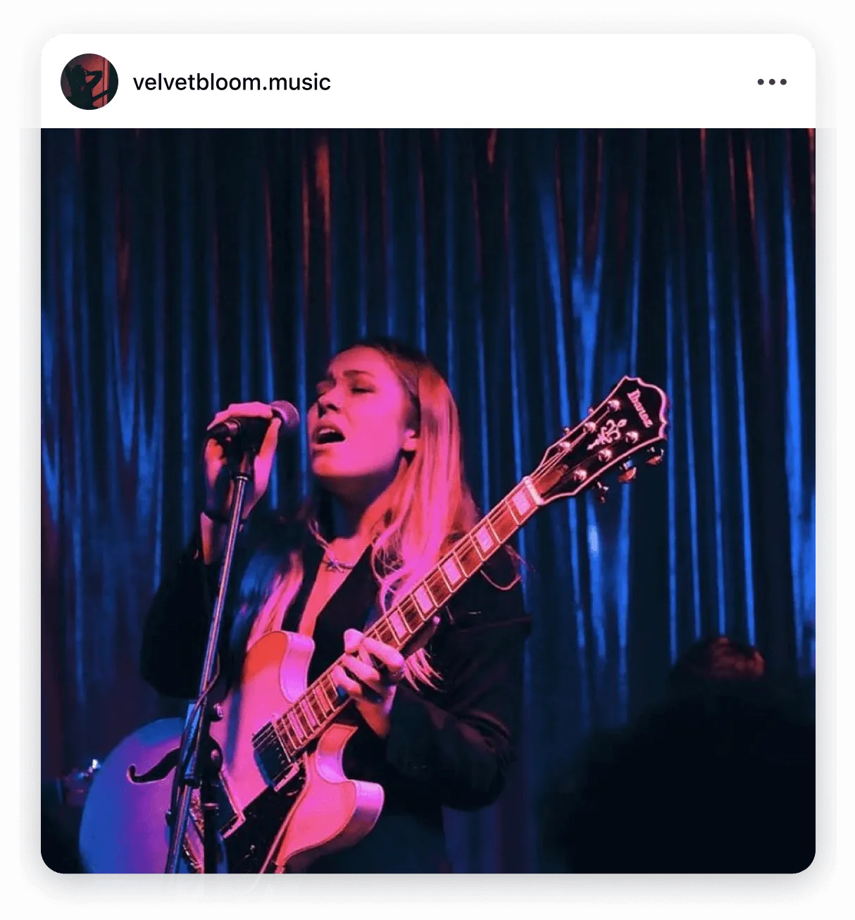 Instagram post by @velvetbloom.music music style