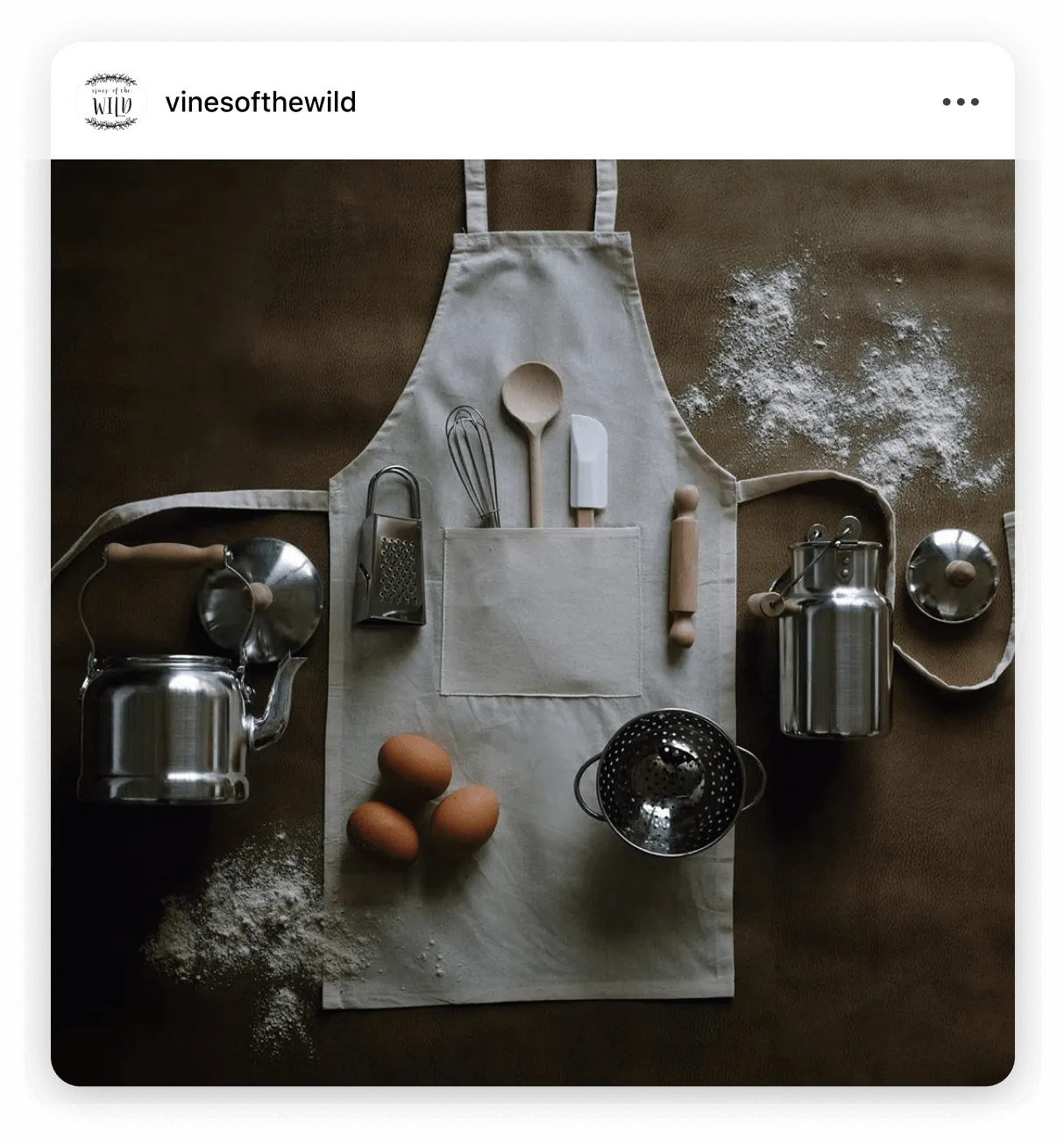 Instagram post by @vinesofthewild sustainable living