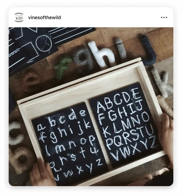 Instagram post by @vinesofthewild simple living