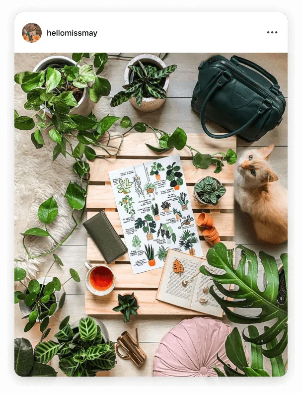 Instagram post by @hellomissmay artistic photo